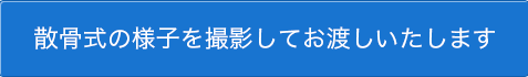 散骨式の様子を撮影してお渡しいたします